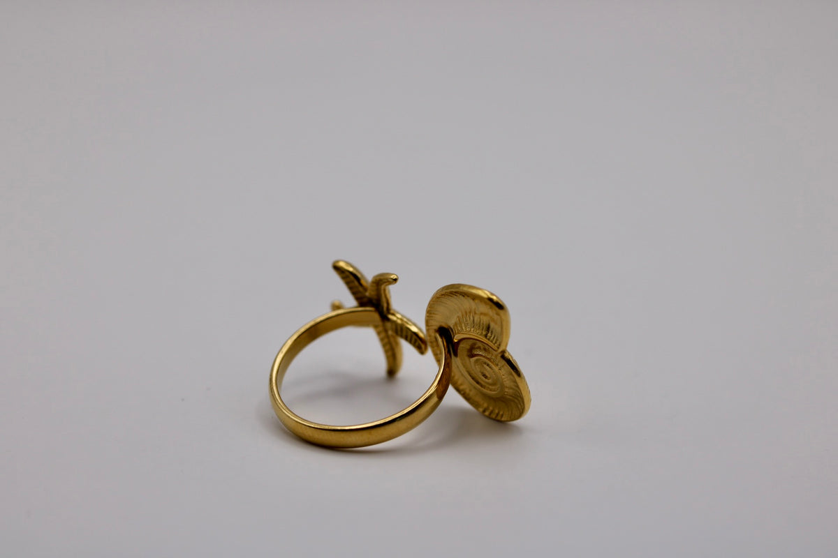 Windshell Ring