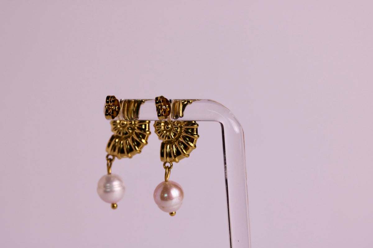 Conch + Pearl Studs