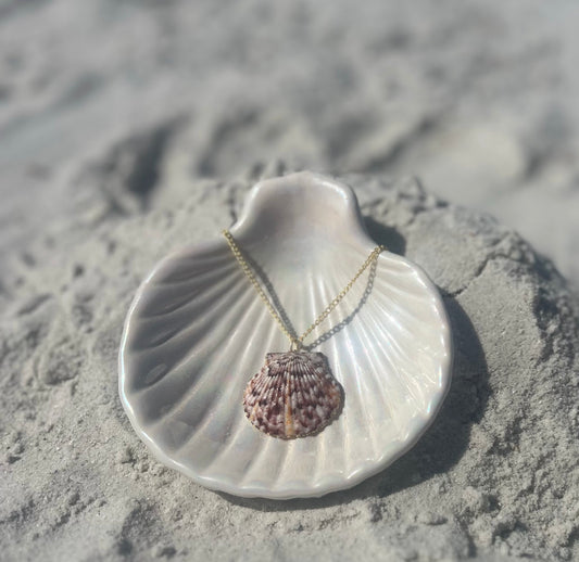 Dainty Sunburst Shell Necklace