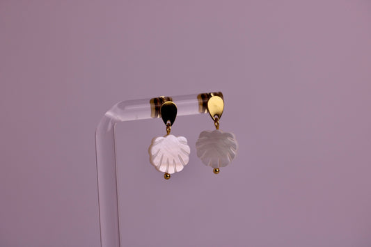 Coastal Scallop Studs