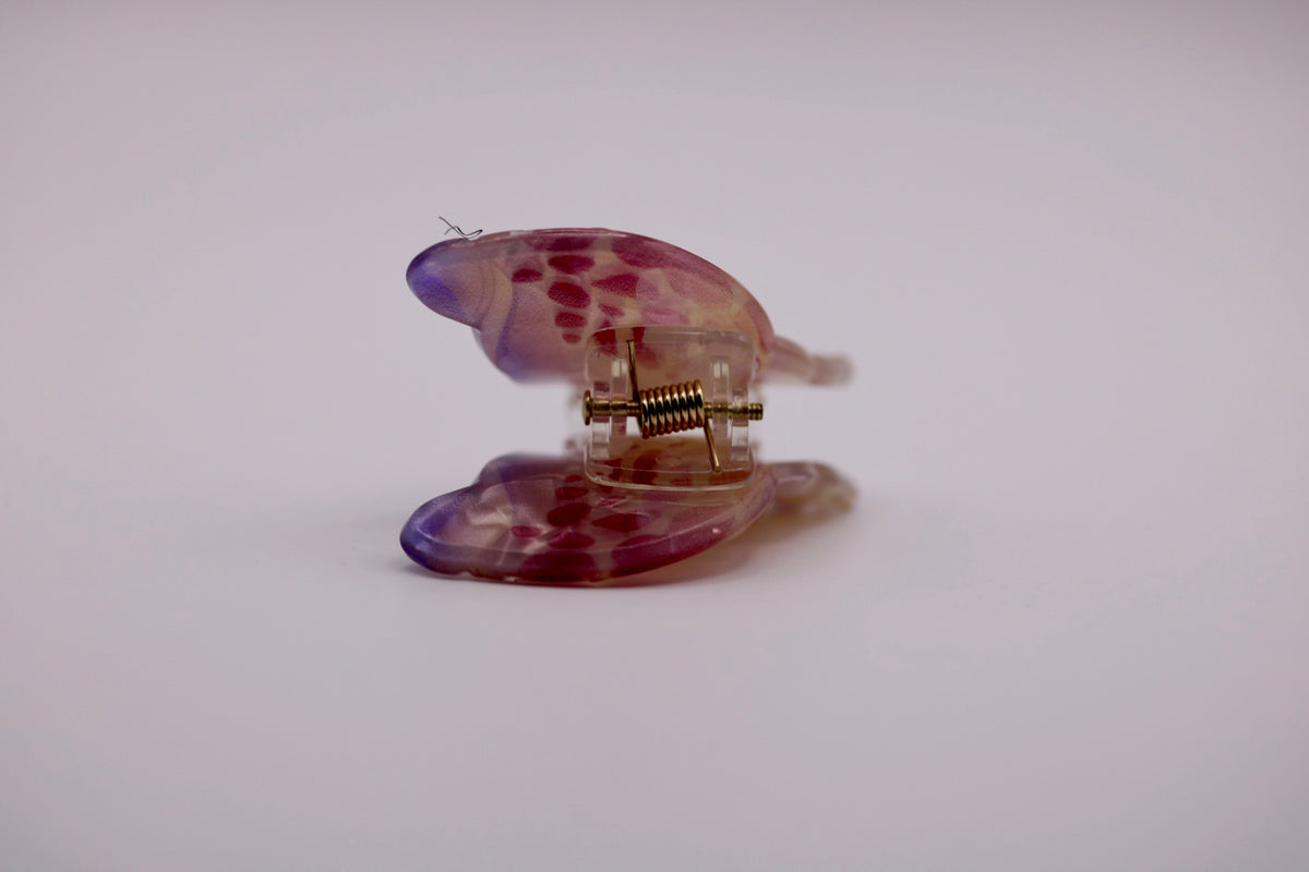 Mini Conch Hair Clips