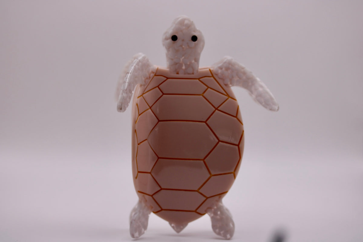 Slow Coast Turtle Hair Clip