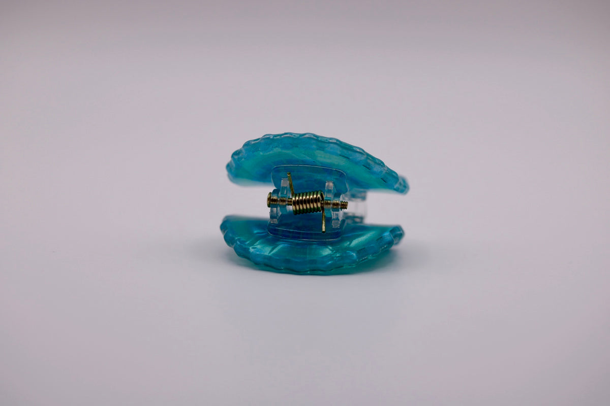 Mini Conch Hair Clips