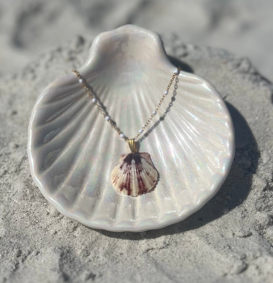 Rare Mermaid Shell Necklace
