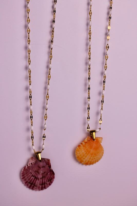Saltwater Scallop Necklace