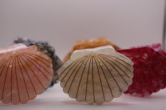 Treasure Cove Scallop Hair Clip