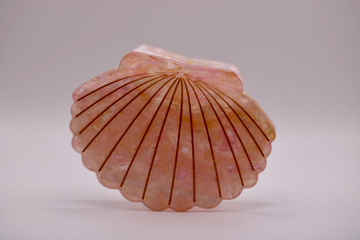 Treasure Cove Scallop Hair Clip