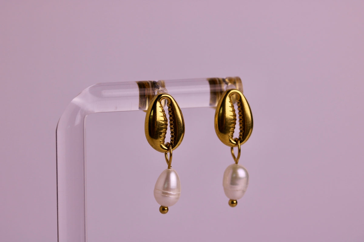 Cowrie Coast Studs