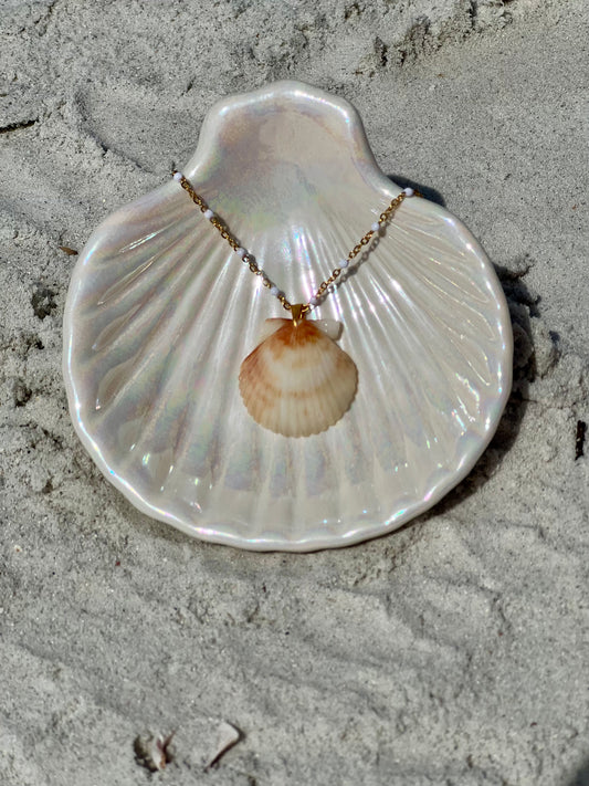Rare Mermaid Shell Necklace