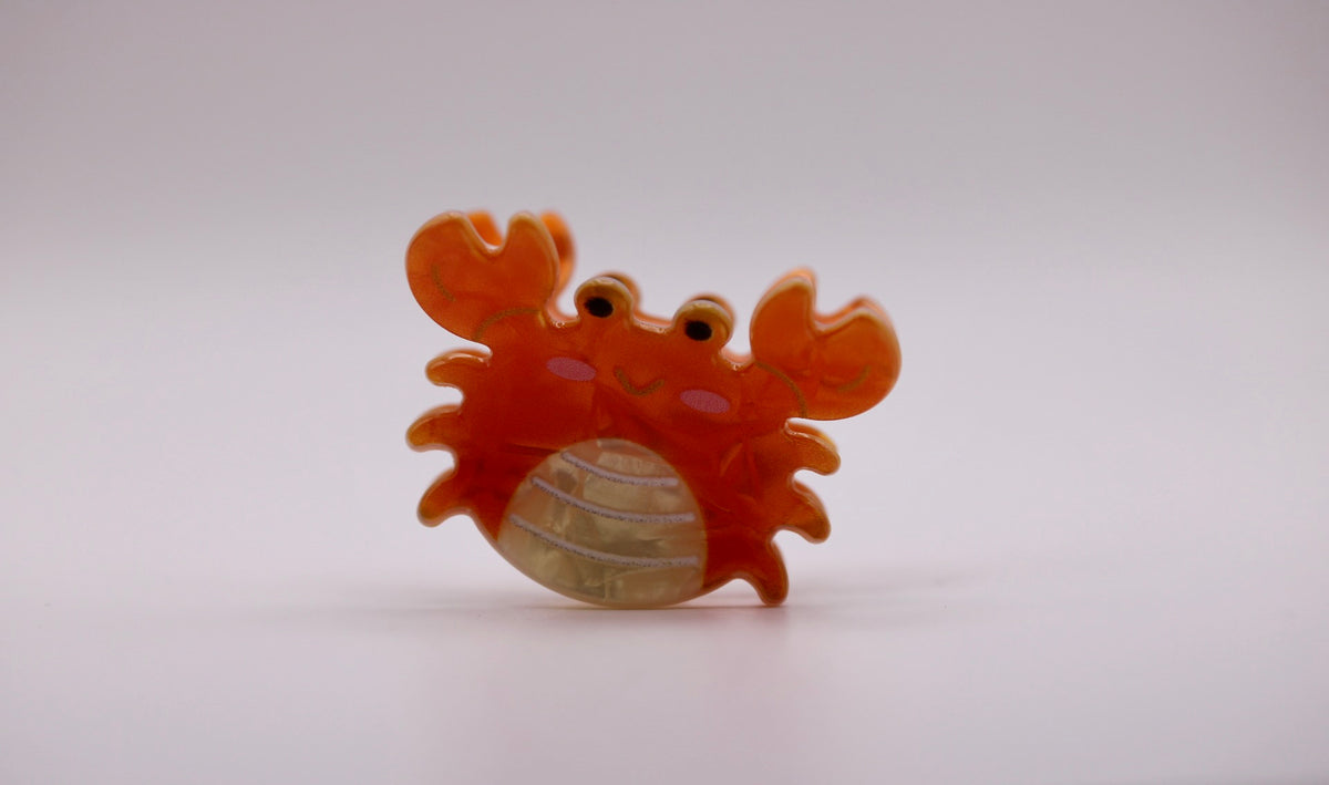 Mini Ocean Friends Hair Clips