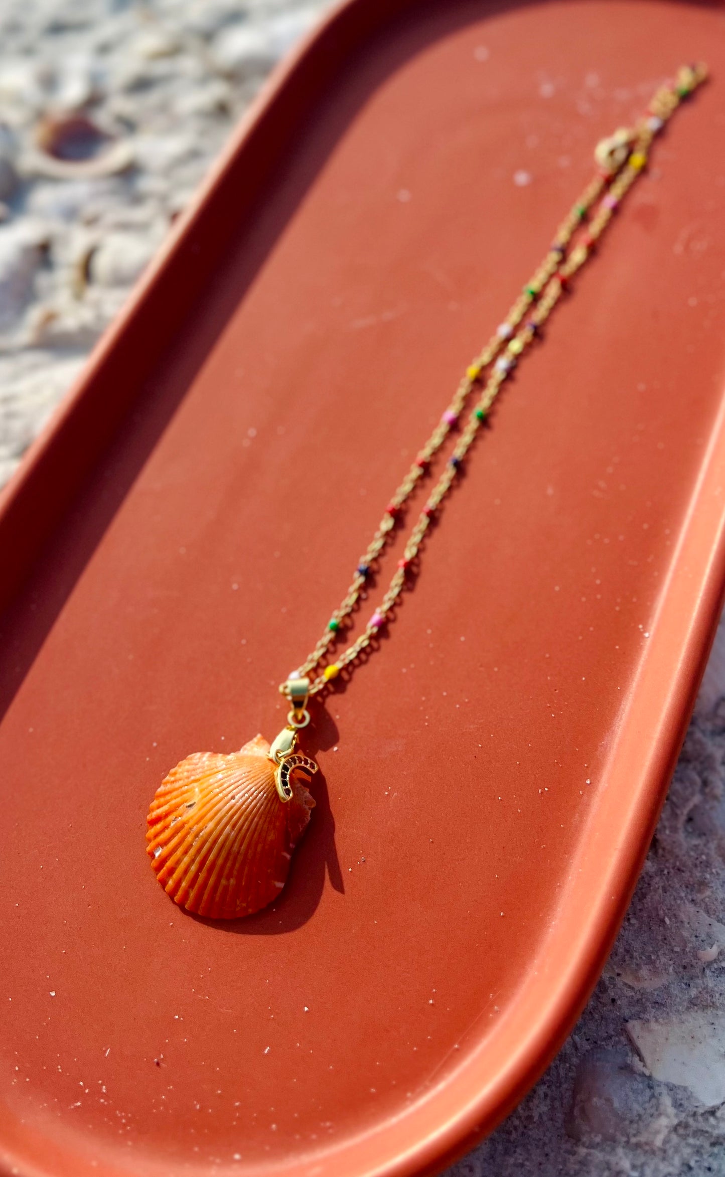 Pride Rare Shell Necklace