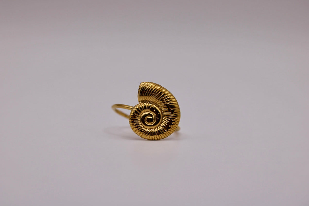 The Agnes Ring