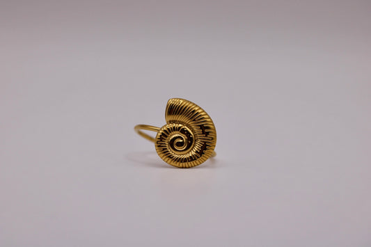 The Agnes Ring