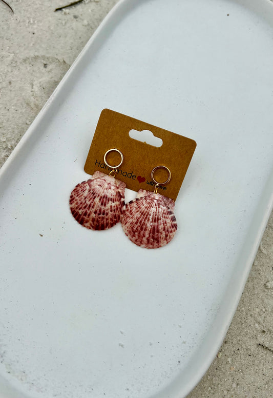 Summer Solstice Shell Studs