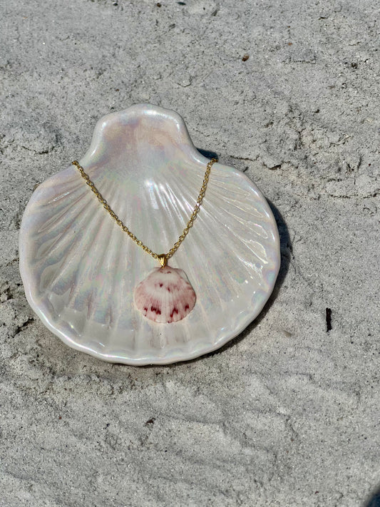 Dainty Shell Necklace