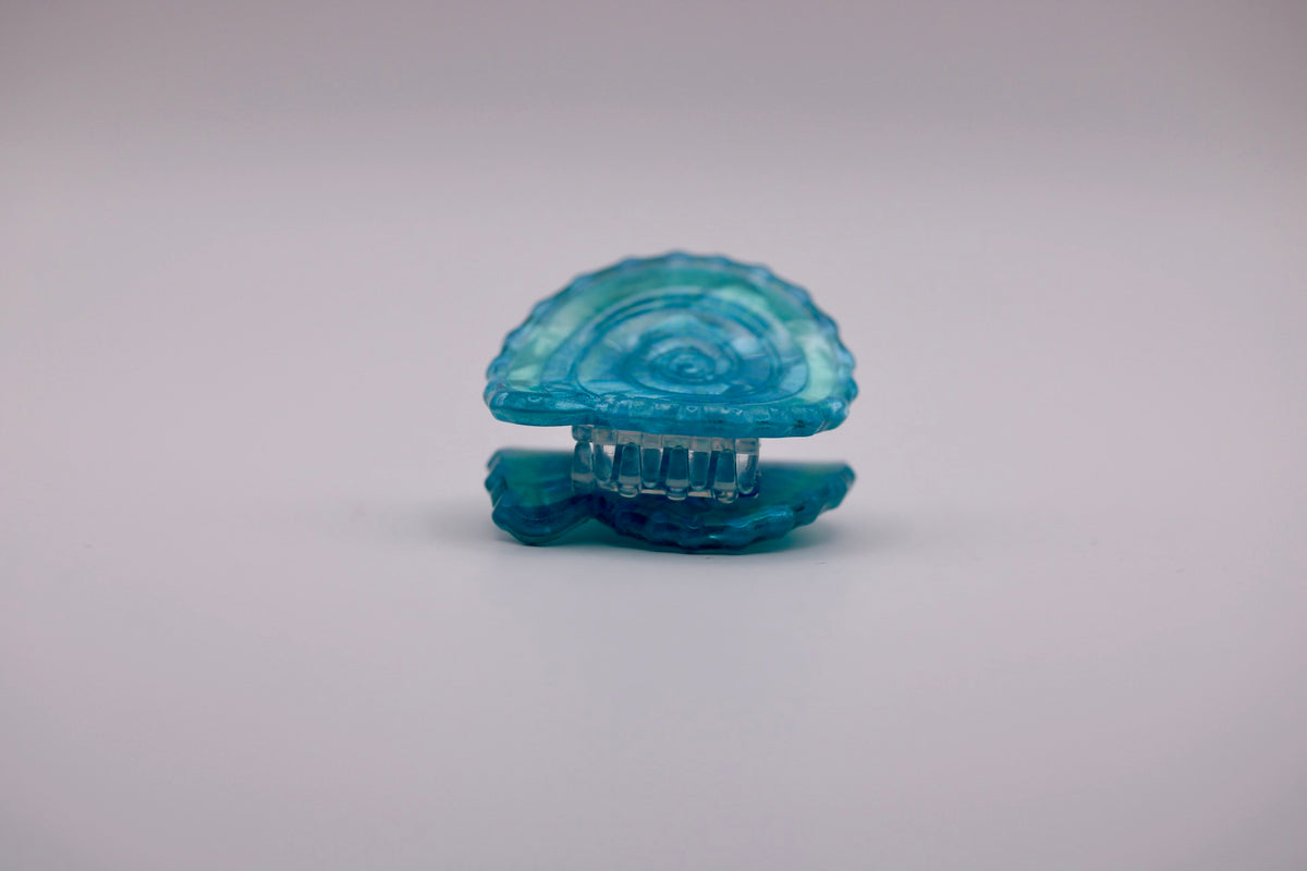Mini Conch Hair Clips