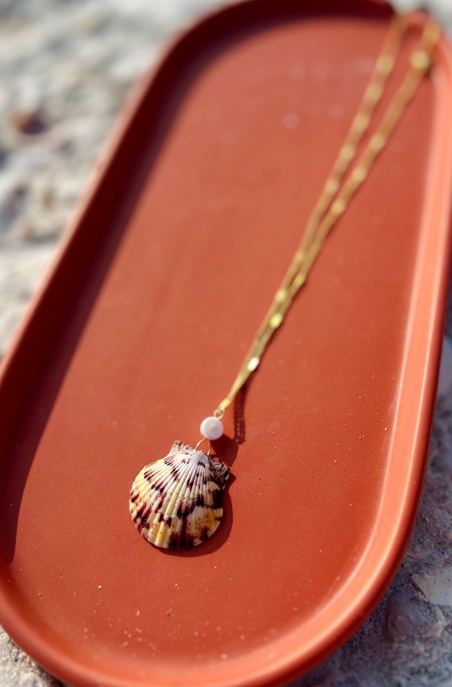 Isle Rare Shell Necklace