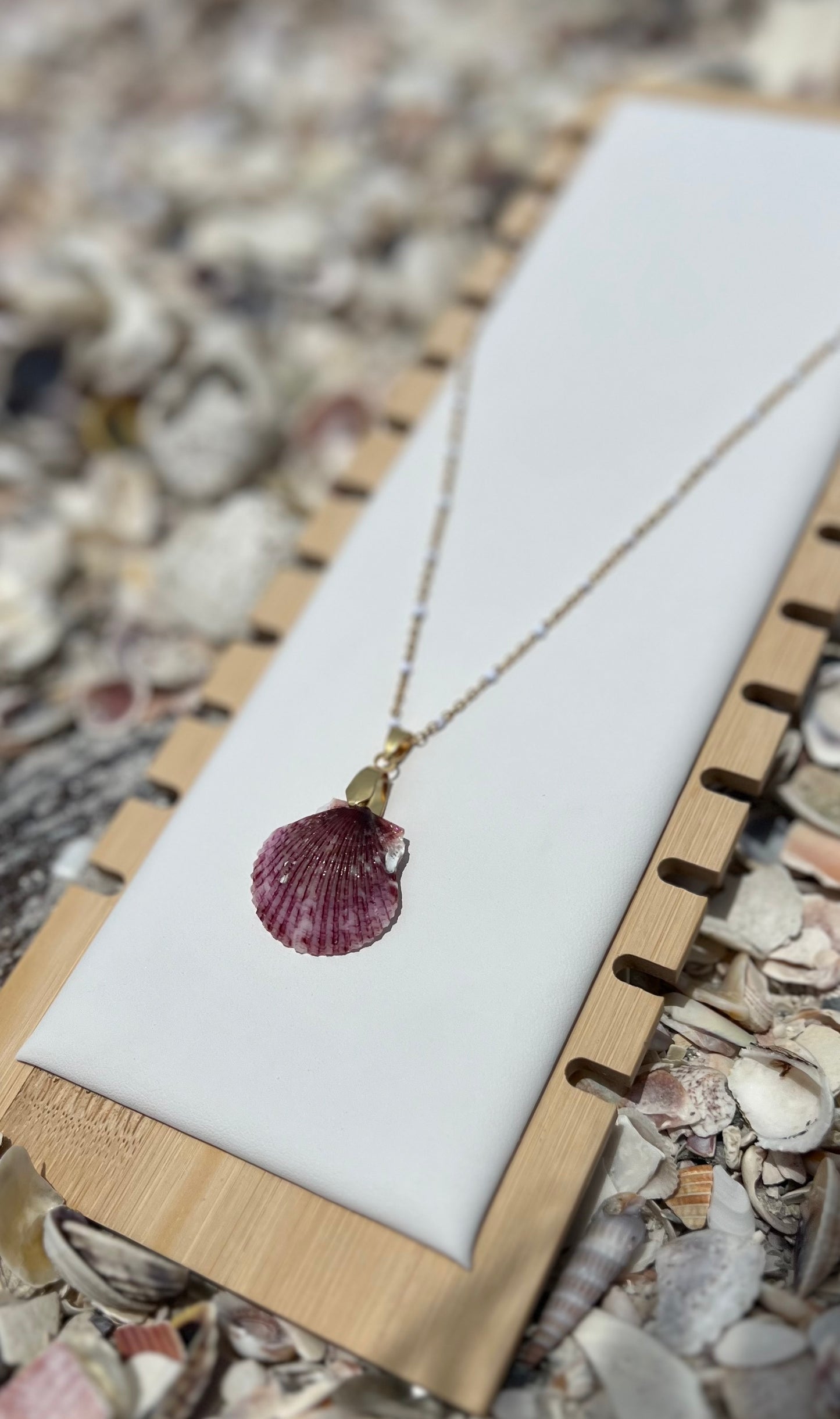 Rare Mermaid Shell Necklace