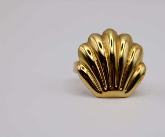 Coralie Ring in Silver + Gold