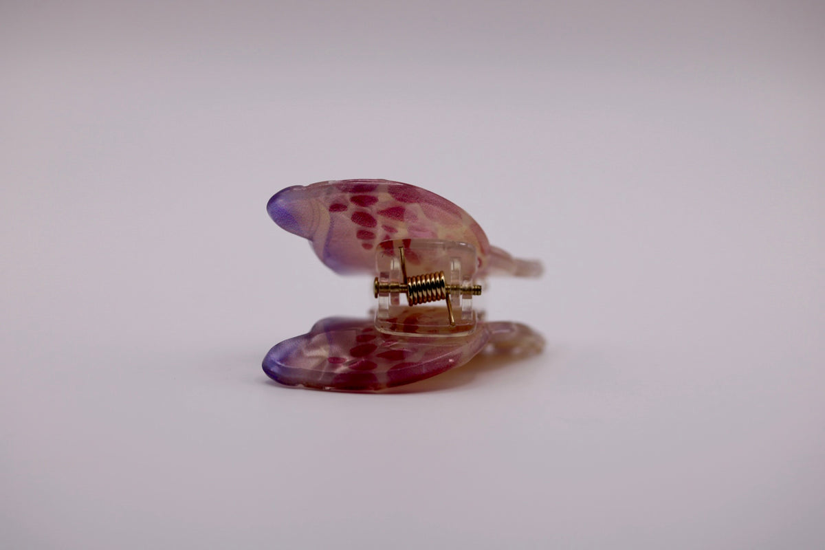 Mini Conch Hair Clips