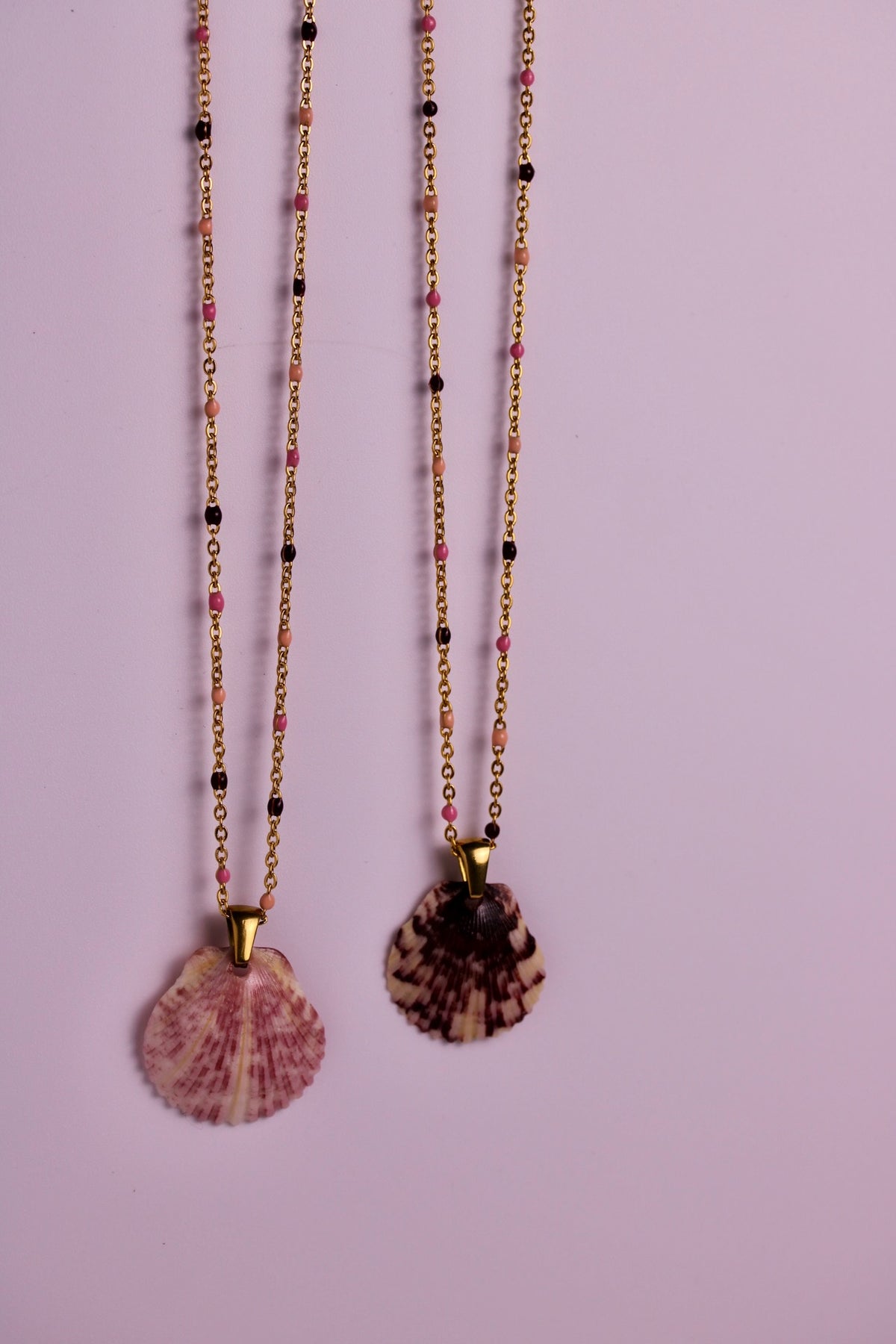 Candy Coast Scallop Necklace