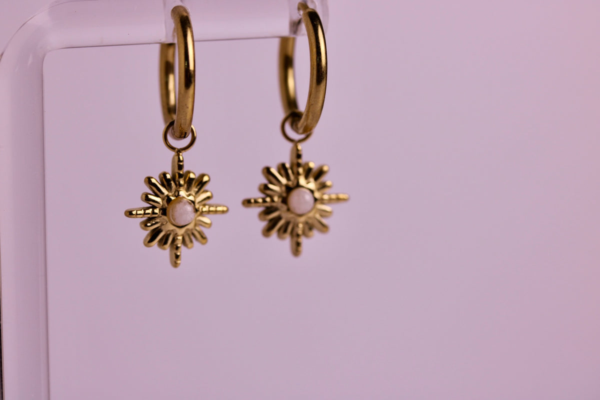 Sun Chaser Hoops