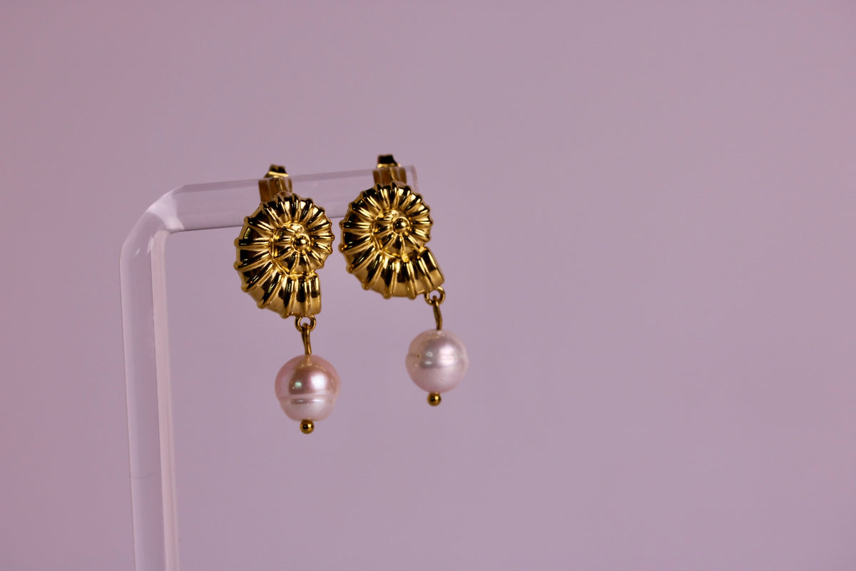 Conch + Pearl Studs