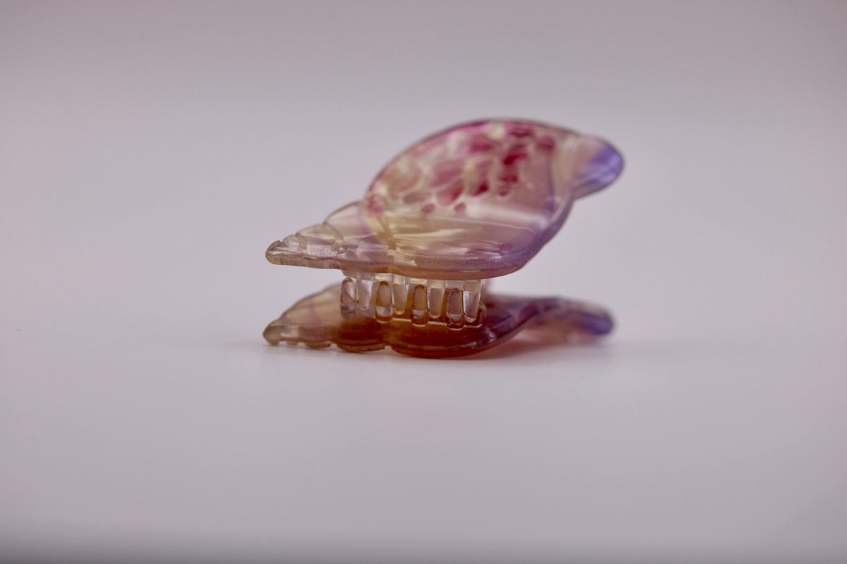 Mini Conch Hair Clips