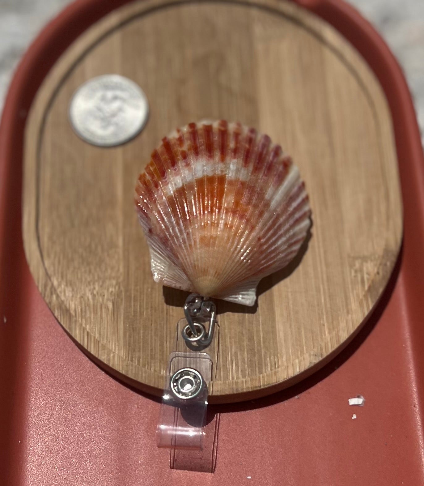 Shell Badge Reel