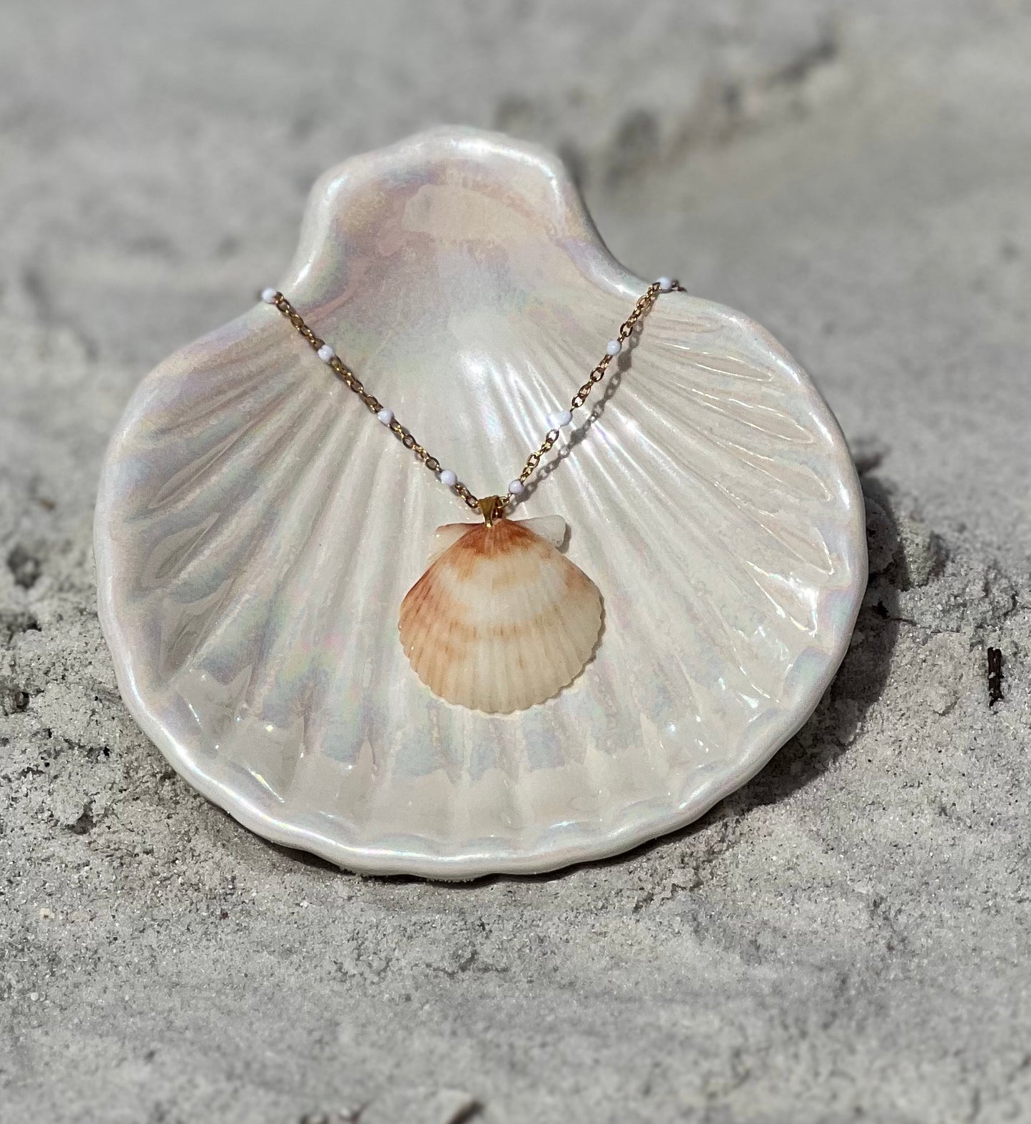 Rare Mermaid Shell Necklace