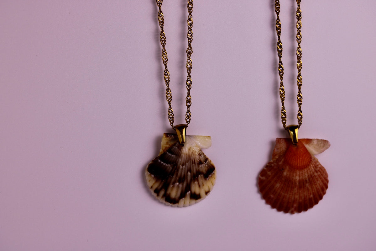 Florida Found Scallop Necklace