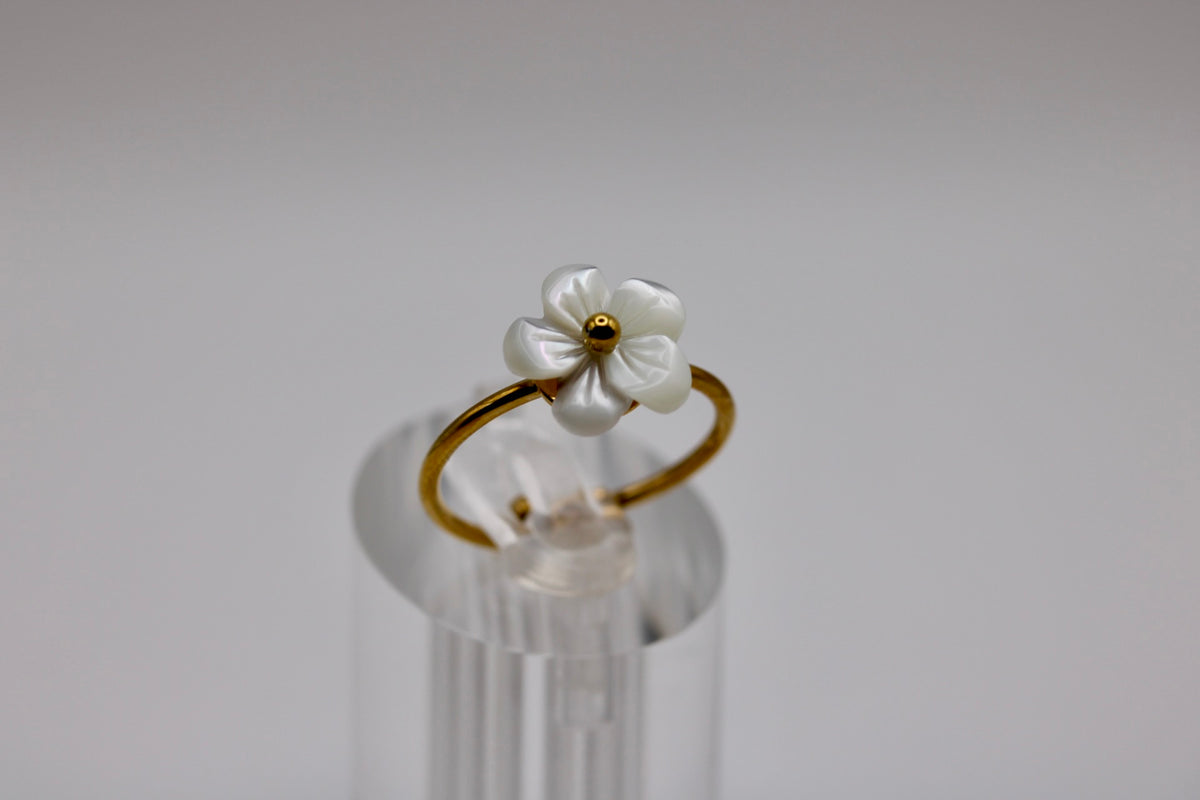 The Caspia Ring