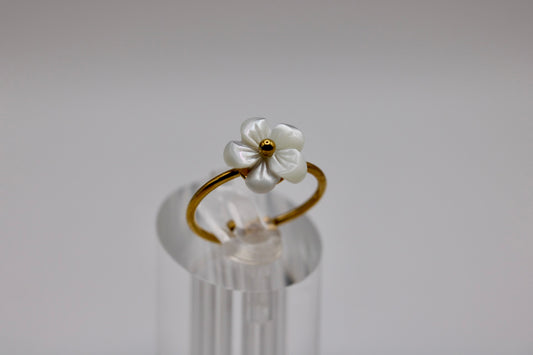 The Caspia Ring