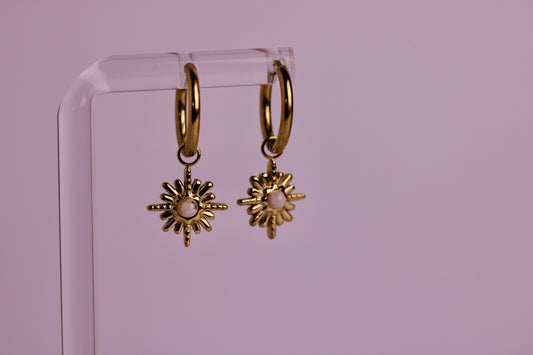 Sun Chaser Hoops