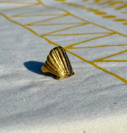 Shoreline Ring