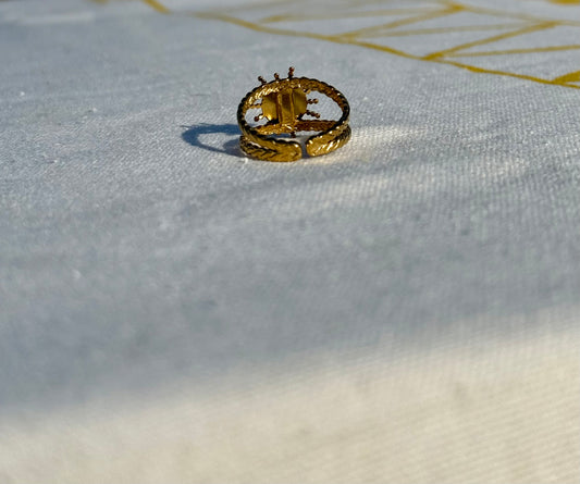Sunwashed Ring in Black + White