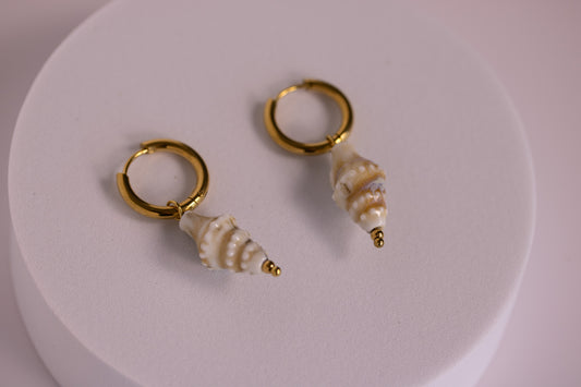 Ceramic Seashell Hoops in Various Colors