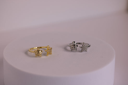 Turtle Tales Ring in silver + Gold