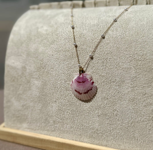 The Pearl Necklace - Rare Seashell Edition