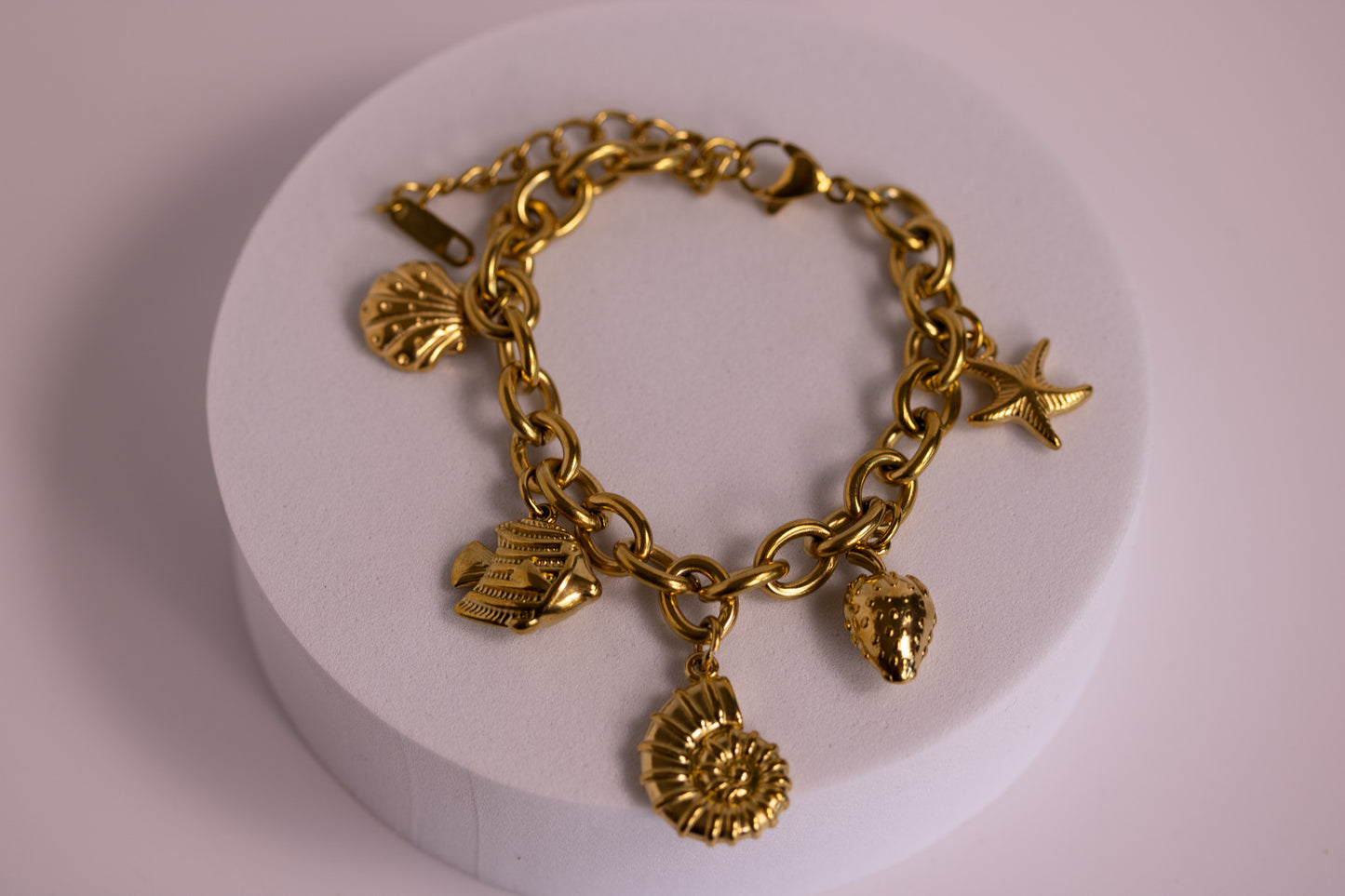 Golden Tides Charm Bracelet