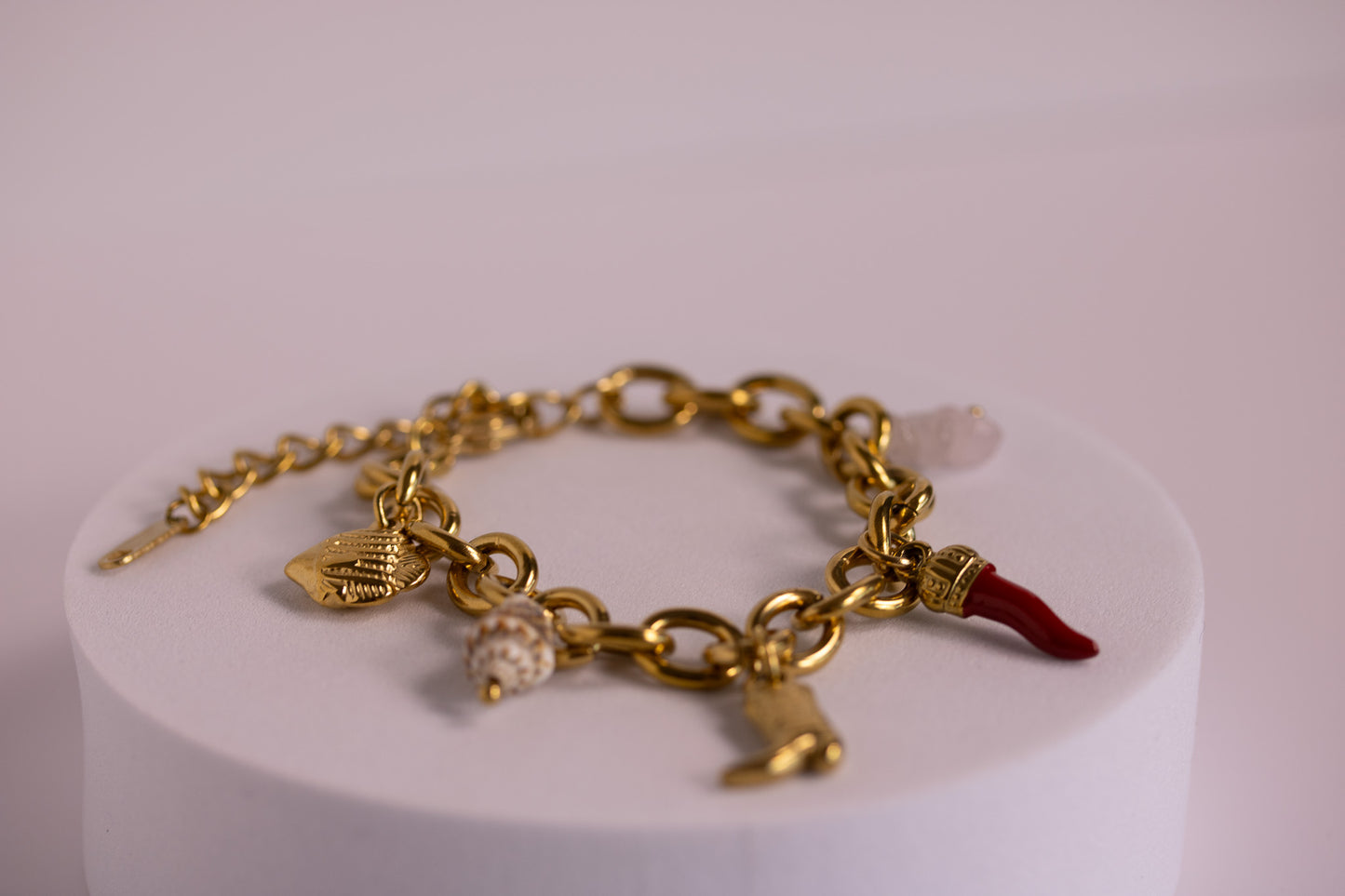 Coastal Cowgirl Charm Bracelet