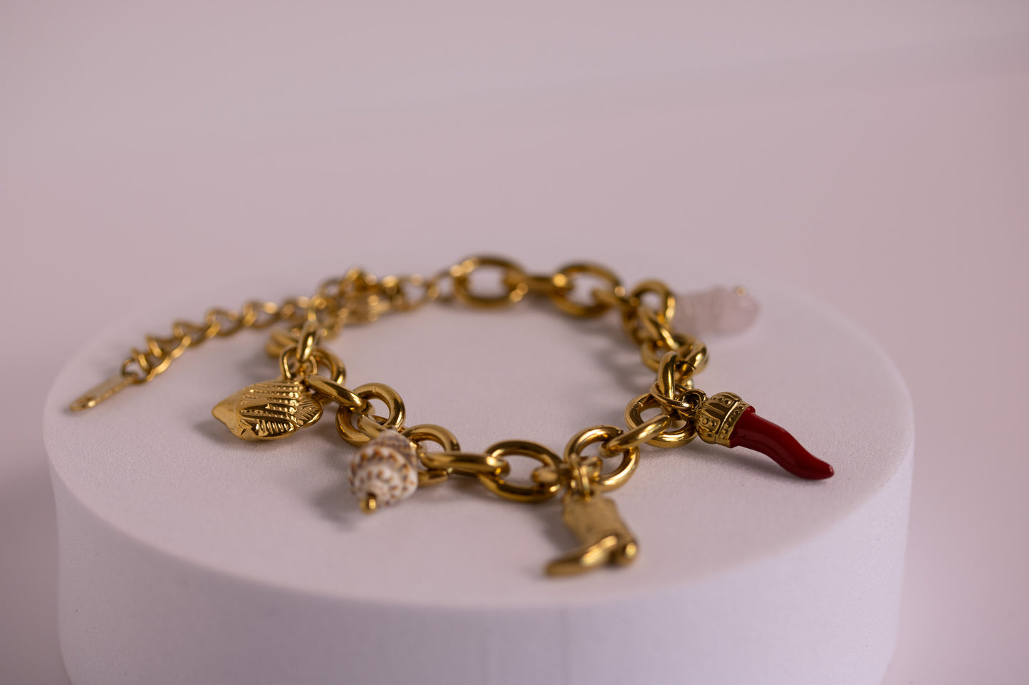 Coastal Cowgirl Charm Bracelet