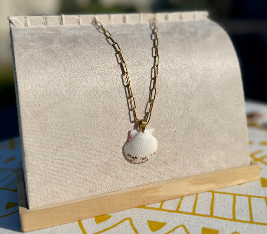 The Paperclip Necklace- Rare White Seashell