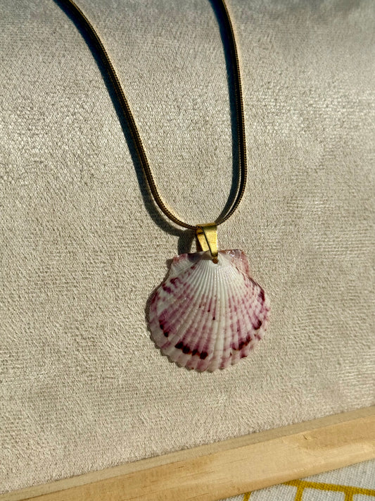 The Horizon Necklace- Seashell Edition