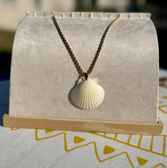 The Braid Necklace- Rare Seashells Edition