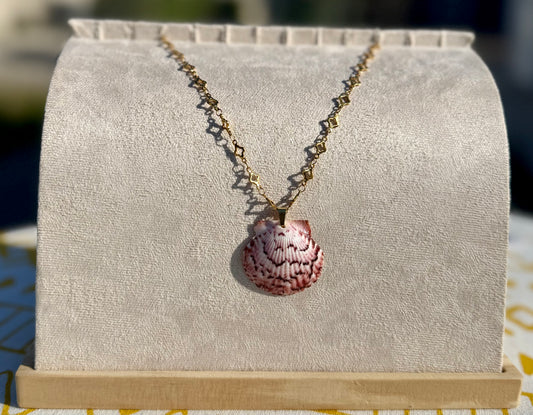 The Clove Necklace- Rare Seashell Edition