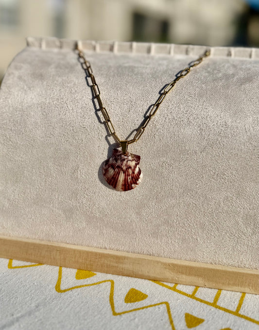The Paperclip Necklace- Rare Seashell