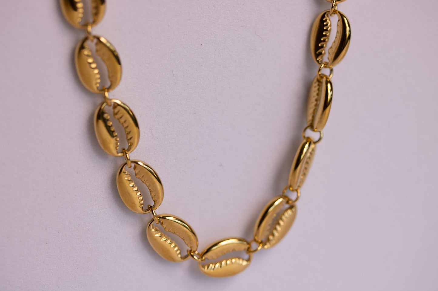 Cora Cowrie Necklace