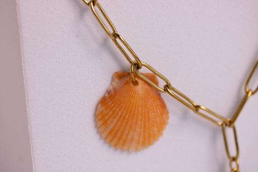 The Charmed Necklace - Coastal Storyline Edition