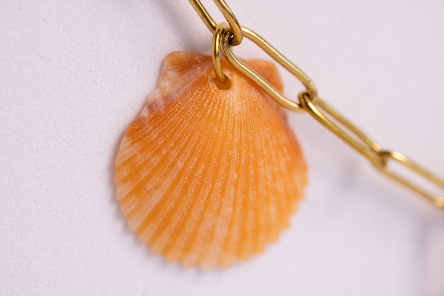 The Charmed Necklace - Coastal Storyline Edition